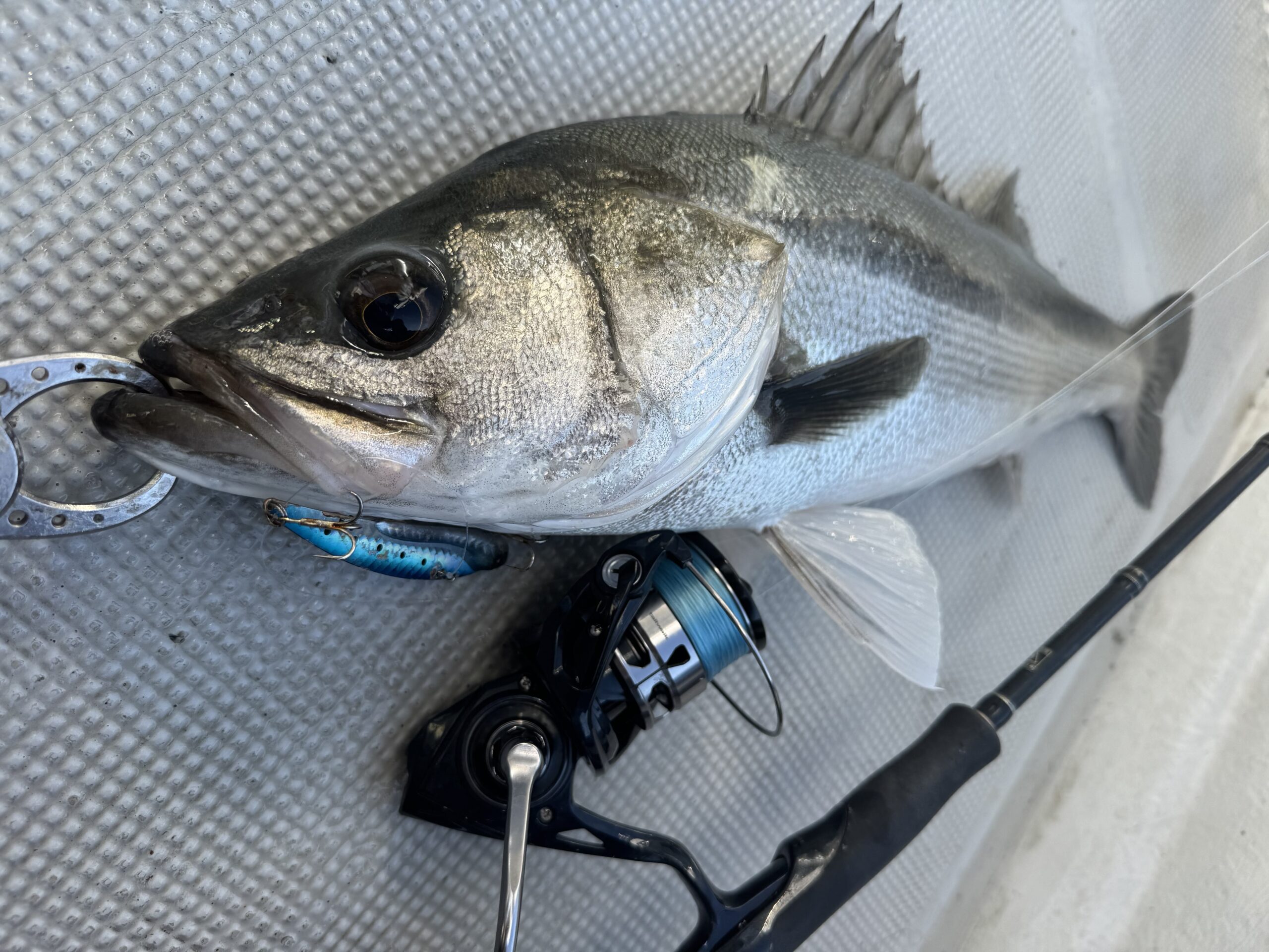 ドラゴンツイストバー ミニ2本組 ドラゴンツイストバー | デューク更家